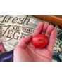 Tomato 'Resi Pink' 