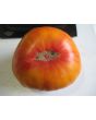 Tomato 'Pineapple'