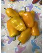 Sweet Pepper 'Lunch Box Yellow' Seeds (Certified Organic)