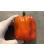 Sweet Pepper 'Pick Me Quick' Seeds (Certified Organic)