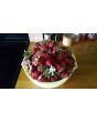 Strawberry 'Honeoye' Plants (4" Pot, single)
