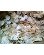 Money Plant AKA Silver Dollar 'Alba' Seeds (Certified Organic)