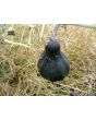 The Ultimate Gourd Seed Mix