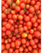 Tomato 'Hundreds and Thousands'