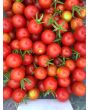 Tomato 'Remy Rouge' Seeds (Certified Organic)