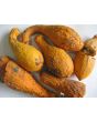 The Ultimate Gourd Seed Mix