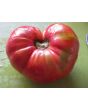 Tomato 'Brandywine'