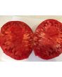 Tomato 'Garden Leader Monster'