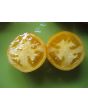 Tomato 'Lemon Boy F2' 