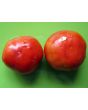 Tomato 'Crimson Cushion'
