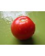 Tomato 'Sweet n' Bright'