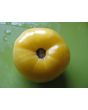 Tomato 'Great White'