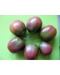 Tomato 'Joffre'