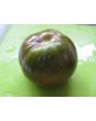 Tomato 'Joffre'