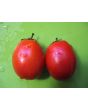 Tomato 'Napoli' 