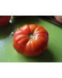 Tomato 'Palo Alto'