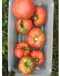 Tomato 'Barlow Japanese'