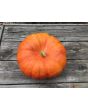 Pumpkin 'Cinderella' Seeds (Certified Organic) 