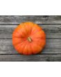 Pumpkin 'Cinderella' Seeds (Certified Organic) 
