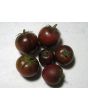 Tomato 'Black Zebra'