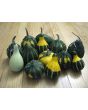 The Ultimate Gourd Seed Mix