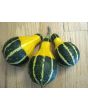 The Ultimate Gourd Seed Mix