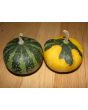 The Ultimate Gourd Seed Mix