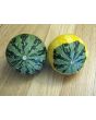 The Ultimate Gourd Seed Mix