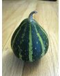 The Ultimate Gourd Seed Mix