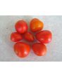 Tomato 'Micro Tom'