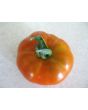 Tomato 'El Nano'