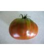 Tomato 'Southern Night'