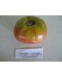 Tomato 'Amazon Chocolate'