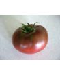 Tomato 'BKX' AKA 'Black Krim Potato Leaf' 