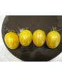 Tomato 'Topaz' AKA 'Huan U'