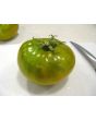 Tomato 'Izumrudnoye Yabloko' AKA 'Emerald Apple' 