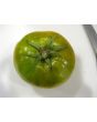 Tomato 'Izumrudnoye Yabloko' AKA 'Emerald Apple' 