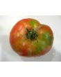 Tomato 'Barlow Japanese'