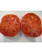 Tomato 'Tall Vine Brandywine'