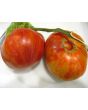 Tomato 'Legs Diamond' 