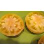 Tomato 'Hawaiian Pineapple' 