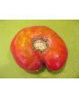 Tomato 'Purple Dog Creek' 