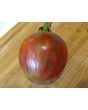 Tomato 'Violet Jasper' AKA 'Tzi Bi U' 