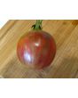 Tomato 'Violet Jasper' AKA 'Tzi Bi U' 