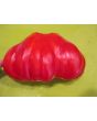 Tomato 'Tlacolula Pink' AKA 'Tlacolula Ribbed' 