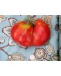 Tomato 'Work Release Paste' 