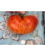 Tomato 'Legs Diamond' 