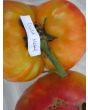 Tomato 'Gold Medal'