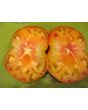 Tomato 'Gold Medal'