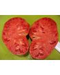 Tomato 'Work Release Paste' 